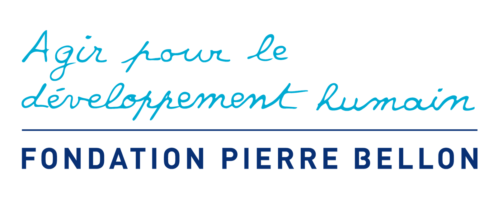 Fondation Pierre Bellon